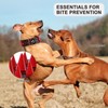 Beirui Heavy Duty Spiked Dog Collar - Stylish PU Leather