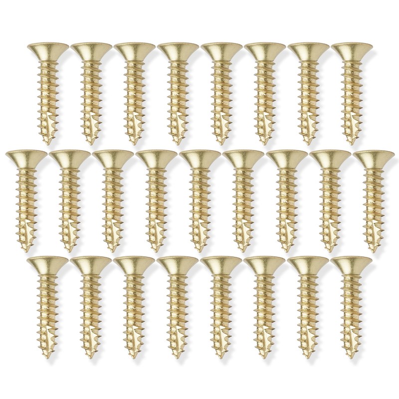 Cauldham Bright Brass Wood Screws #9 x 1 Inch for
