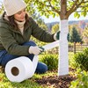 Tree Wrap for Winter Plant Protection – Non-Woven 8 cm