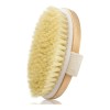 Cepillo Corporal Exfolia Cuerpo Piel Muerta Circulacion Full