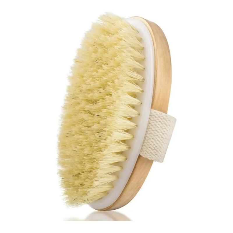 Cepillo Corporal Exfolia Cuerpo Piel Muerta Circulacion Full