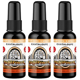 Blunt Power High Concentrated Air Freshener, Cantaloupe, 1.5oz, 3 Packs