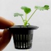 SCGEHA Hydroponic Cultivation Pot Seedling Kit, Pot, Sponge Set, Black,