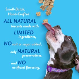 Spunky pup Every Day Biscuit Dog Treats - All-Natural, Handmade in USA, Perfect for Training or Snacking, 4 lb Resealable Bucket- Bucket of Biscuits- Peanut Butter Flavor