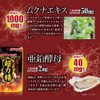 Yuuki Pharmaceutical SP Super Powerful Sein, Set of 12, 240