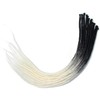 Ombre Dreadlocks Extensions Single Ended 15 Strands/Pack Black to White