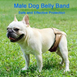 Male Dog Belly Band Pet Diaper Washable Wrap Waterproof Toilet Training Dog Physiological Pant