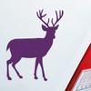 9,5x12 cm Car Sticker Deer Reindeer Deer Wild Hunting Forest