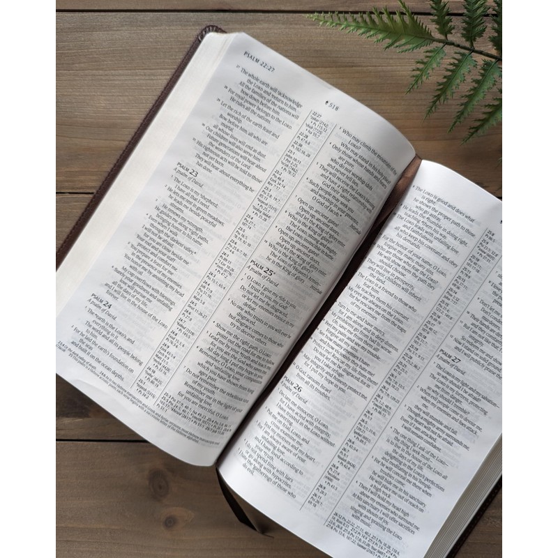 NLT Thinline Center-Column Reference Bible, Filament Enabled (LeatherLike, Rustic Brown,