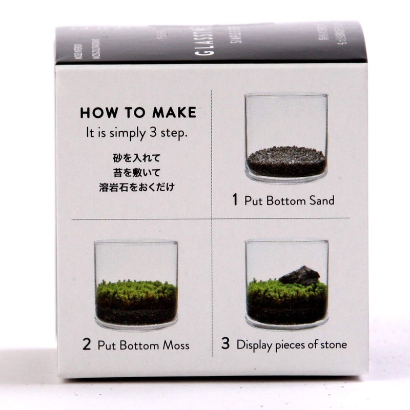 Seishin Pottery GD-934 Growing Kit, Glastmoss L, Clear