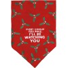 Primitives By Kathy Holiday Dog Collar Charm Bandana Cookie Tester