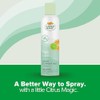 Citrus Magic Odor Eliminating Air Freshener Spray, Bamboo Rainforest, 3-Ounce,