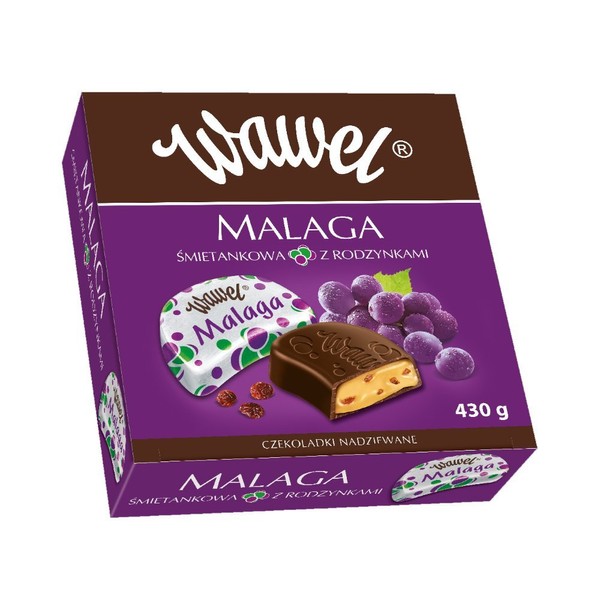 Wawel Malaga Milk Chocolate with Raisins in Nut Filling Imported