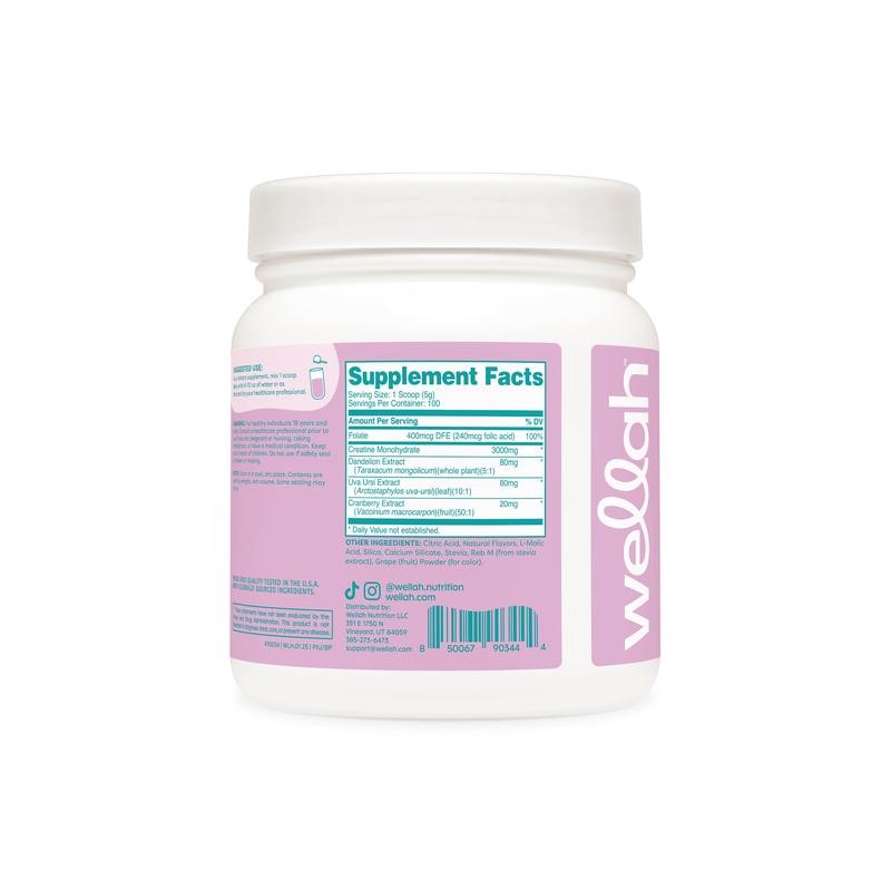 Pump-It-Up Creatine (100 Servings):_Blueberry Pomegranate