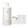 Decorte [Department Store] [Decorte] [5BD] AQ Repair Smooth Shampoo 600ml Set / [백화점] [데코르테] [5BD] AQ 리페어 스무스 샴푸 600ml 세트