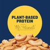 PLANTERS Cashews Salted, Plant-Based Protein, Individually Packed Snacks, Quick Snack