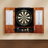Viper Shadow Buster Dartboard Cabinet Mounted Display Light, with AC