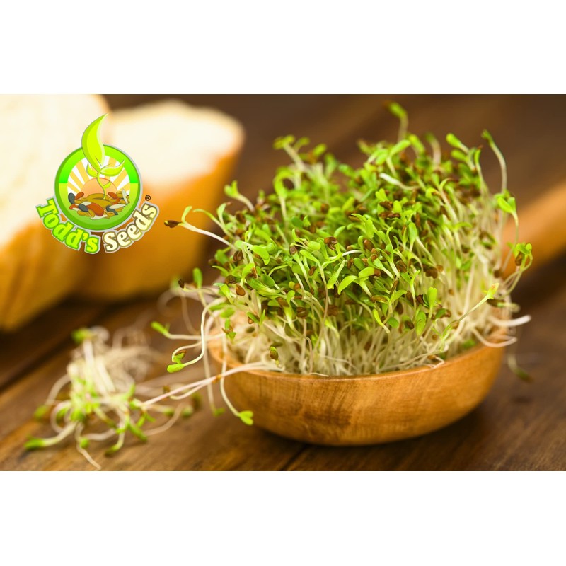Todd’s Seeds - Alfalfa Sprouting Seeds - Easy to Grow