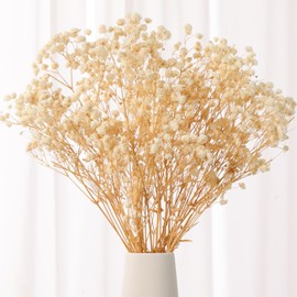 Babys Breath Dried Flowers Bouquet-17'' 2000+ Dry Flowers, Natural Gypsophila Branches for Wedding, Home Table Vase Decor, DIY Wreath Floral, Fall Thanksgiving Autumn Decoration (Ivory White, 2oz)
