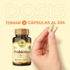Probióticos Cápsula Mejora Flora Intestinal Y Estreñimiento