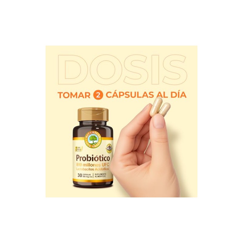 Probióticos Cápsula Mejora Flora Intestinal Y Estreñimiento