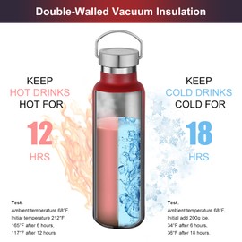 Neihepal 20 oz Insulated Water Bottles Bulk 4 Pack,Stainless Steel Double Wall Sport Bottle with Lid of Handle,Metal Reusable Thermoses Flask for School,Cyclists,Hikers,Gift (Assorted,Set of 4)