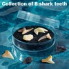 Eggbox Shark Tooth Digging Kit for 6-12 Years Old Kids