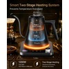 Gooseneck Electric Kettle with Temperature Control, 0.9L, Black