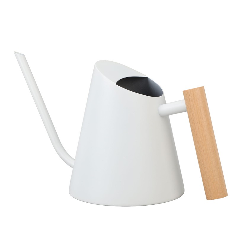 Watering Can with Long Spout 800ml Stainless Steel Matte Indoor