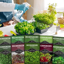 Microgreen Seeds Variety Pack – 10 Heirloom Types for Indoor Sprouting – Broccoli, Pea, Sunflower, Radish, Kale, Arugula & More – High Germination Non-GMO – Survival Garden Seeds (Seed Packs Only)