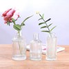 100ml/3.3oz Empty Clear Glass Diffuser Bottle Diffuser Jar Aromatherapy Container