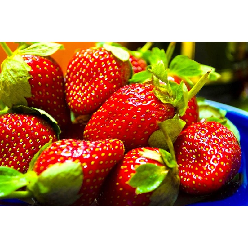 Strawberry 20 Seeds for Growing Non-GMO