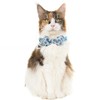 Cat Collar Breakaway with Cute Bow Tie and Bell Accessories