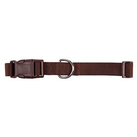 Zack & Zoey ⅜" Wide Nylon Dog Collar, Fits Necks 6" to 10", Chocolate Brown