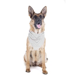 Mechaly 4 Pack Paisley Polyester Pets Dogs Bandana Triangle Shape - Oversized