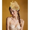 Z&X Sinamay Fascinator Pillbox Hats for Women Feather Flower Church