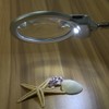 Large Lens Table Top Desk Lamp Lighted Magnifier Magnifying Glass