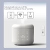 Splenssy WiFi Humidity and Temperature Sensor, Mobile App, Intelligent Control,