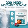 Creatine Complex Powder, Raspberry & Blueberry, 500 g, 71 Servings