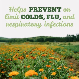 St. Francis Herb Farm Deep Immune® Original Tincture – Natural Immunity Booster - Helps Prevent or Limit Colds, Flu and Respiratory Infections – Organic Herbs, Non GMO, Vegan, Dairy Free –– 250 mL