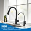 WEWE Matte Black Drinking Water Faucet Non Air Gap Stainless