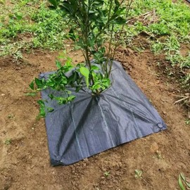 Barrier Landscape Fabric, Grass Control Mat Heavy Duty Cover, Versatile Block Gardening Mat Driveway Cloth with Easy Setup for Patio Lawn Pathway Yard