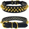 TEEMERRYCA Leather Dog Collar with Gold Spikes for Small Medium