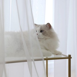 Window Ivory Sheer Curtains 52 x 83.97 Inches Length 2 Panels Voile Light Filtering Sheer Curtain Panel Drapes Treatment For Bedroom Living Room Children Room Kitchen (Ivory, 52" W x 83.97" L | 2 pcs)