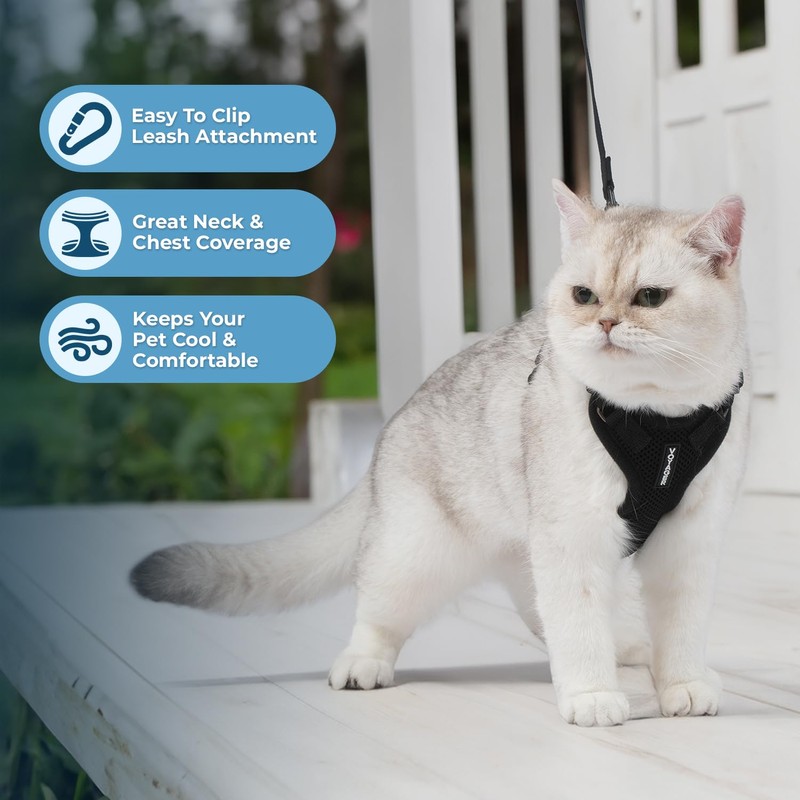 Voyager Step-in Lock Cat Harness and Reflective Cat Leash with