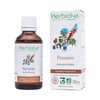 Herbiolys - Organic Apple Bud Macerate | Organic Gemmotherapy |