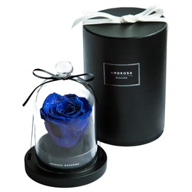 AMOROSA AM19-61 Amorosa Preserved Flowers, Diamond Rose, Little Bell, Excellent Blue, Flowers, Birthday, Anniversary, Father's Day, Proposal, Graduation, Retirement