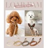 LOARFAM Dog Leash Dog Leash Dog Leash Dog Leash Dog
