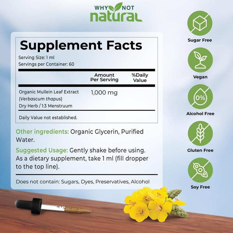 Why Not Natural Organic Mullein Drops for Lungs, USDA Organic,