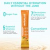 Venture Pal Sugar Free Electrolytes Powder Packets - Liquid Daily